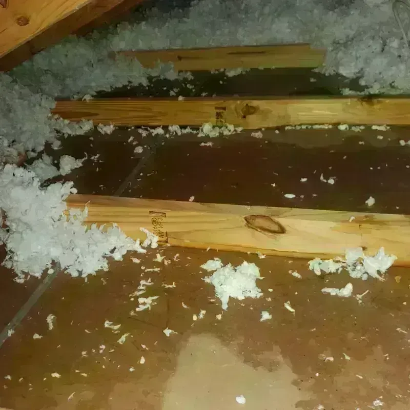 Attic Water Damage in Butler County, KY